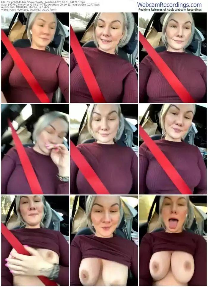 stripchat-nasty_sweden-02-01-2023-14-17-16