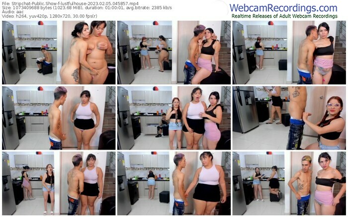 stripchat-lustfulhouse-02-05-2023-04-58-57