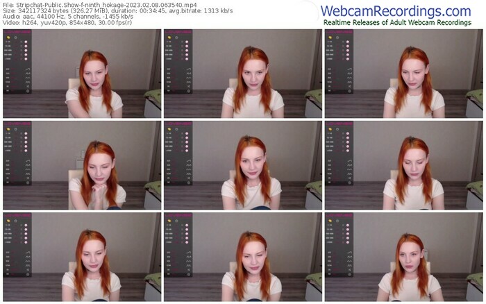 stripchat-ninth_hokage-02-08-2023-06-35-40