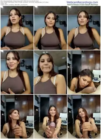 stripchat-jnilu1227-02-15-2023-14-11-42