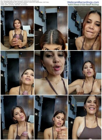 stripchat-jnilu1227-02-15-2023-14-52-08
