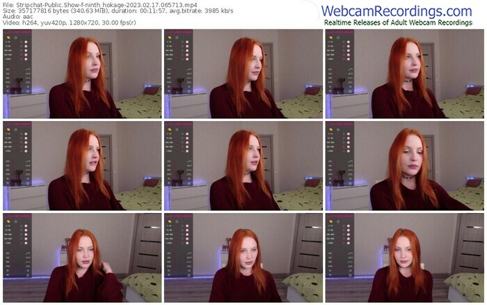 stripchat-ninth_hokage-02-17-2023-06-57-13