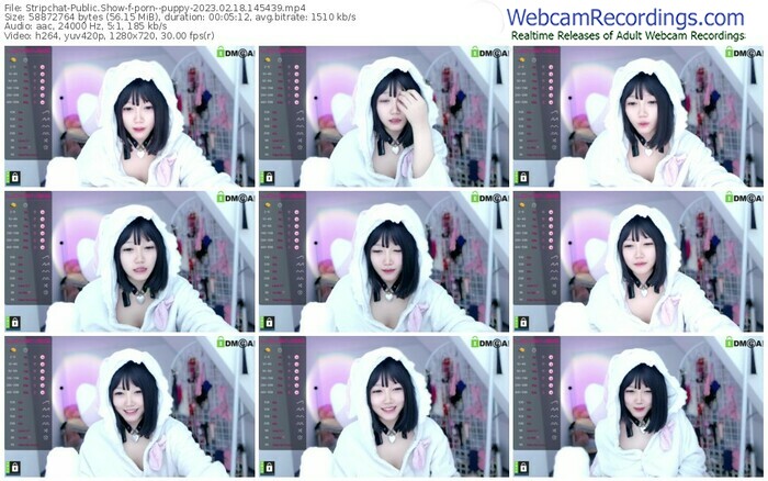 stripchat-porn--puppy-02-18-2023-14-54-39