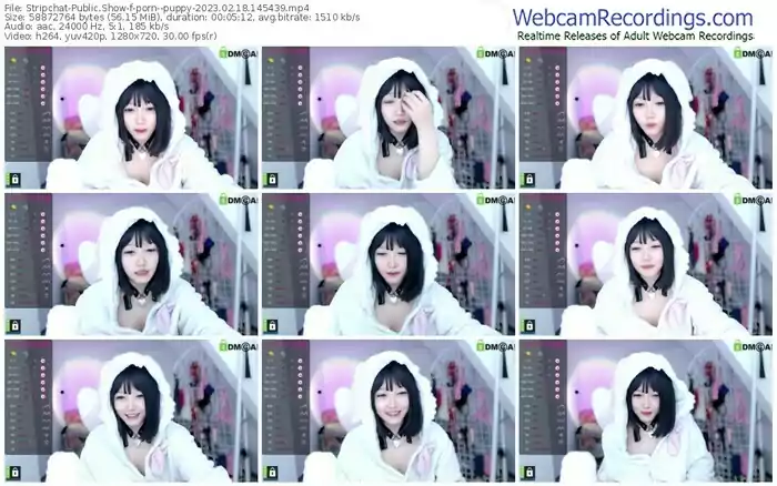 stripchat-porn--puppy-02-18-2023-14-54-39