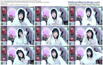 stripchat-porn--puppy-02-18-2023-15-50-03