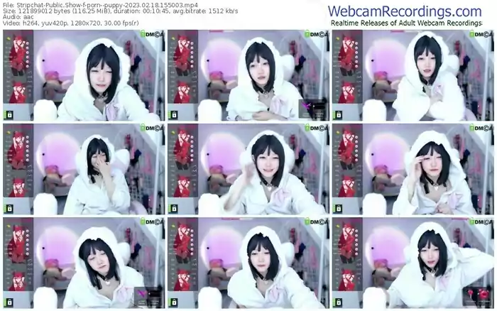stripchat-porn--puppy-02-18-2023-15-50-03