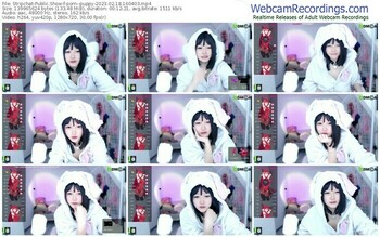 stripchat-porn--puppy-02-18-2023-16-04-03