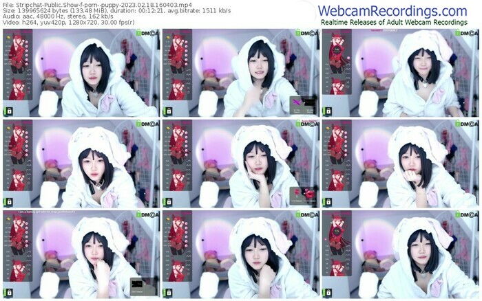 stripchat-porn--puppy-02-18-2023-16-04-03