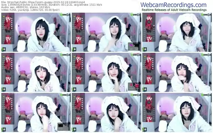 stripchat-porn--puppy-02-18-2023-16-04-03