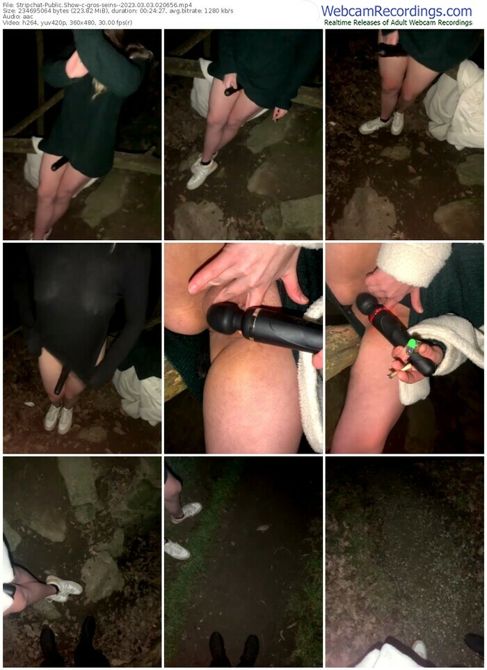 stripchat-gros-seins--03-03-2023-02-06-56