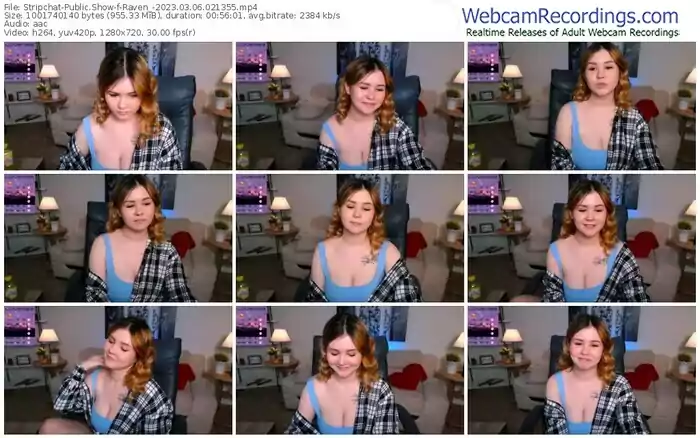stripchat-raven_-03-06-2023-02-13-55