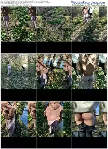 stripchat-two_hot_cats_love-03-08-2023-11-16-28