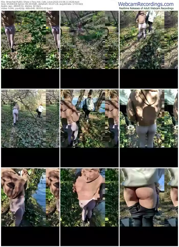 stripchat-two_hot_cats_love-03-08-2023-11-16-28