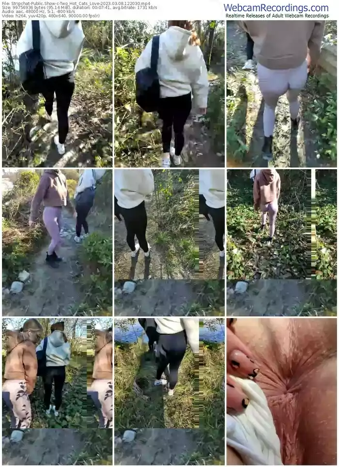 stripchat-two_hot_cats_love-03-08-2023-12-20-30