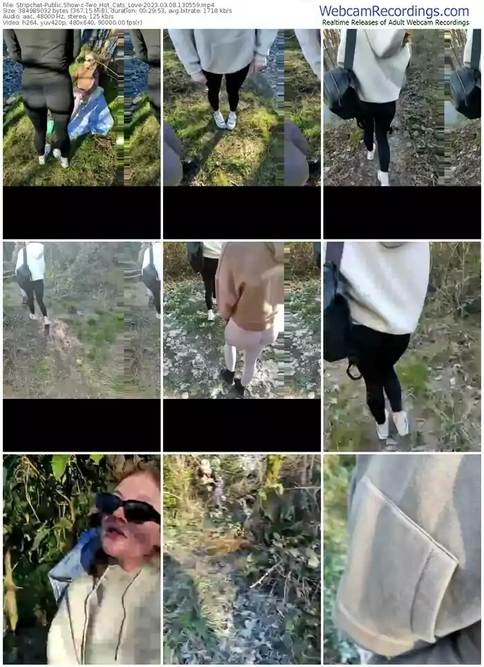 stripchat-two_hot_cats_love-03-08-2023-13-05-59