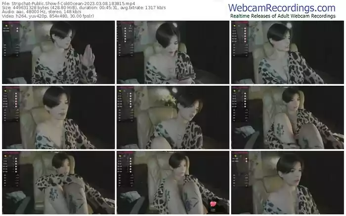 stripchat-coldocean-03-08-2023-18-38-15