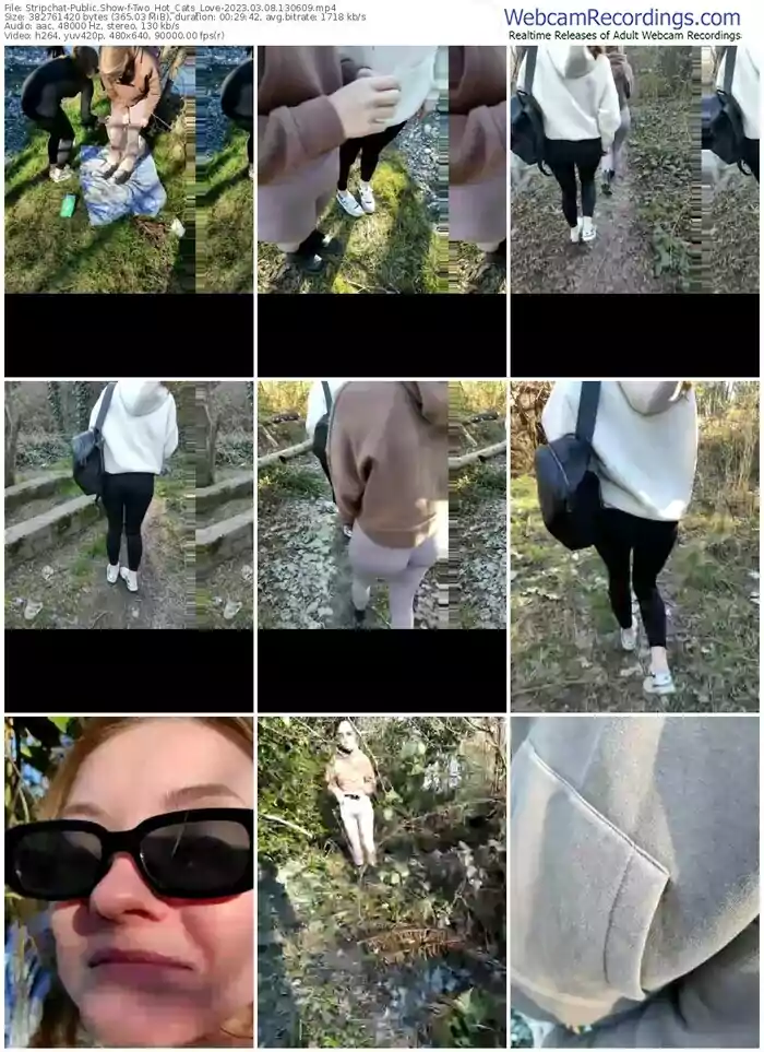 stripchat-two_hot_cats_love-03-08-2023-13-06-09
