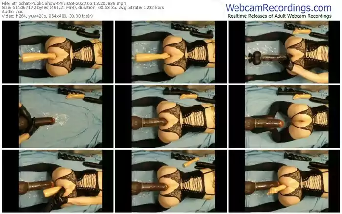 stripchat-ylvis88-03-13-2023-20-58-39
