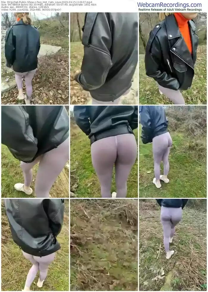 stripchat-two_hot_cats_love-03-15-2023-11-01-07