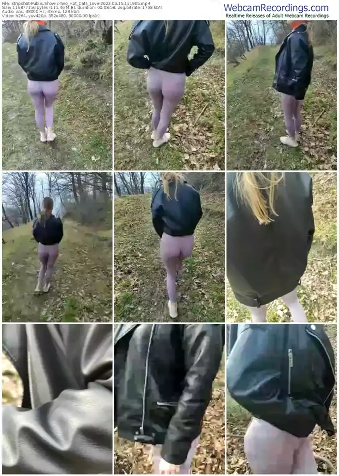 stripchat-two_hot_cats_love-03-15-2023-11-19-05
