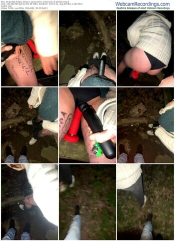 stripchat-gros-seins--03-15-2023-20-53-16