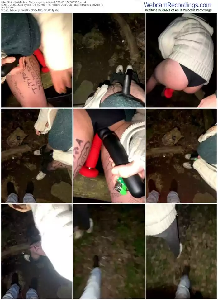 stripchat-gros-seins--03-15-2023-20-53-16
