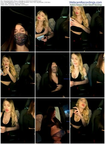 stripchat-shybabyss-03-15-2023-23-09-50