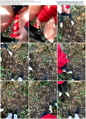 stripchat-gros-seins--03-17-2023-16-47-44