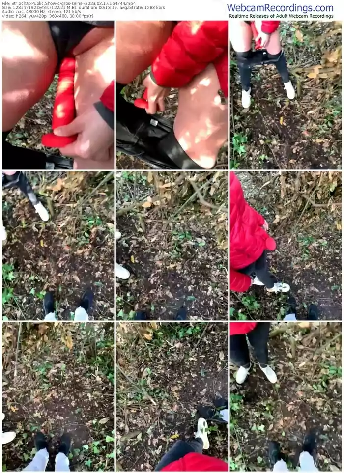 stripchat-gros-seins--03-17-2023-16-47-44