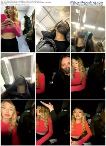 stripchat-shybabyss-03-18-2023-01-03-28