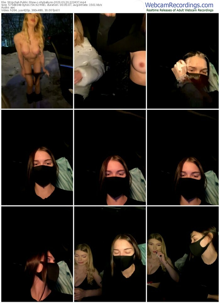 stripchat-shybabyss-03-20-2023-22-24-37