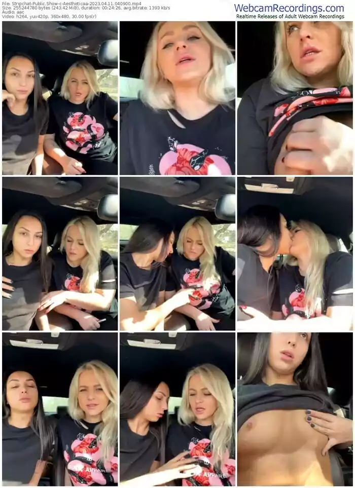 stripchat-aestheticaa-04-11-2023-04-09-00