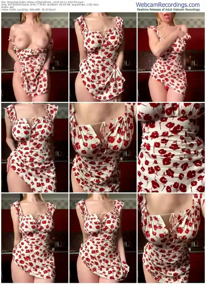 stripchat-playfulltime_-04-11-2023-00-27-05