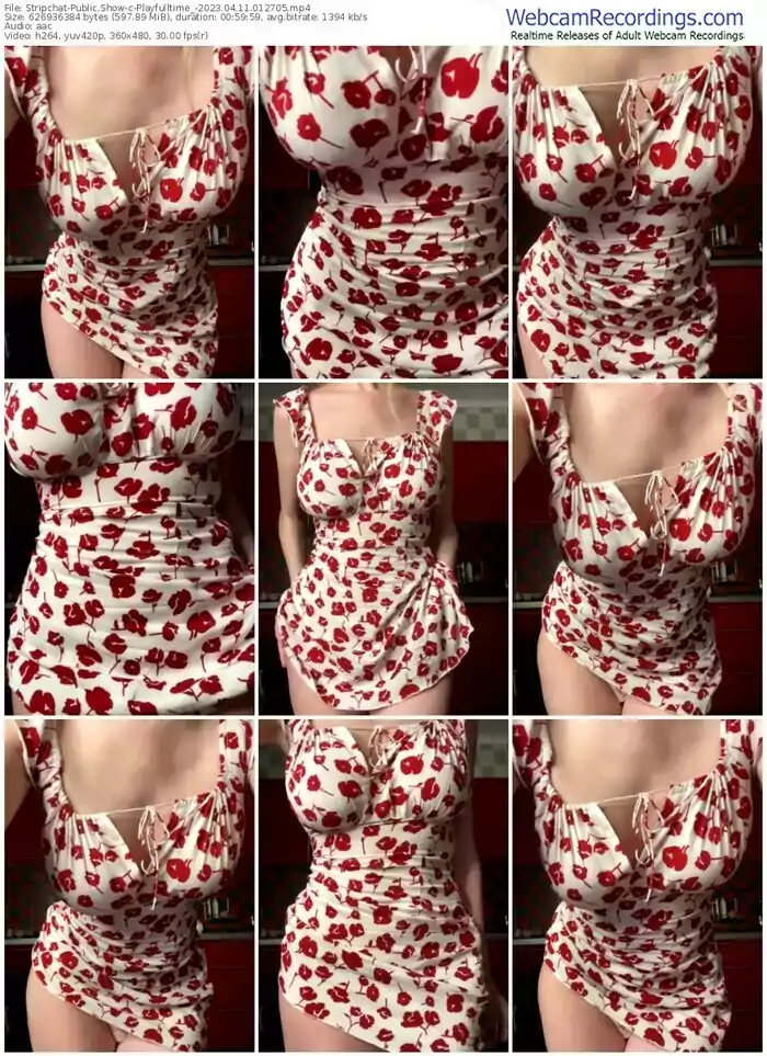 stripchat-playfulltime_-04-11-2023-01-27-05