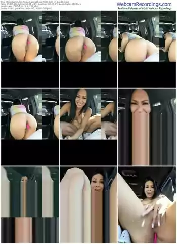 stripchat-annablisss-04-11-2023-16-46-30