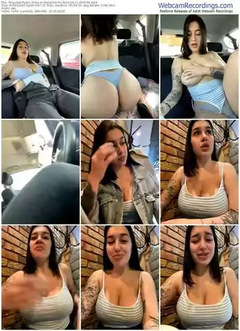 stripchat-senoritaviki-04-11-2023-04-31-48