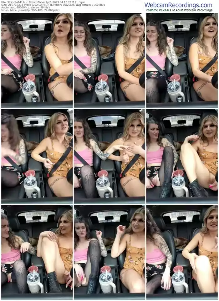 stripchat-taneil2pt0-04-15-2023-23-51-21