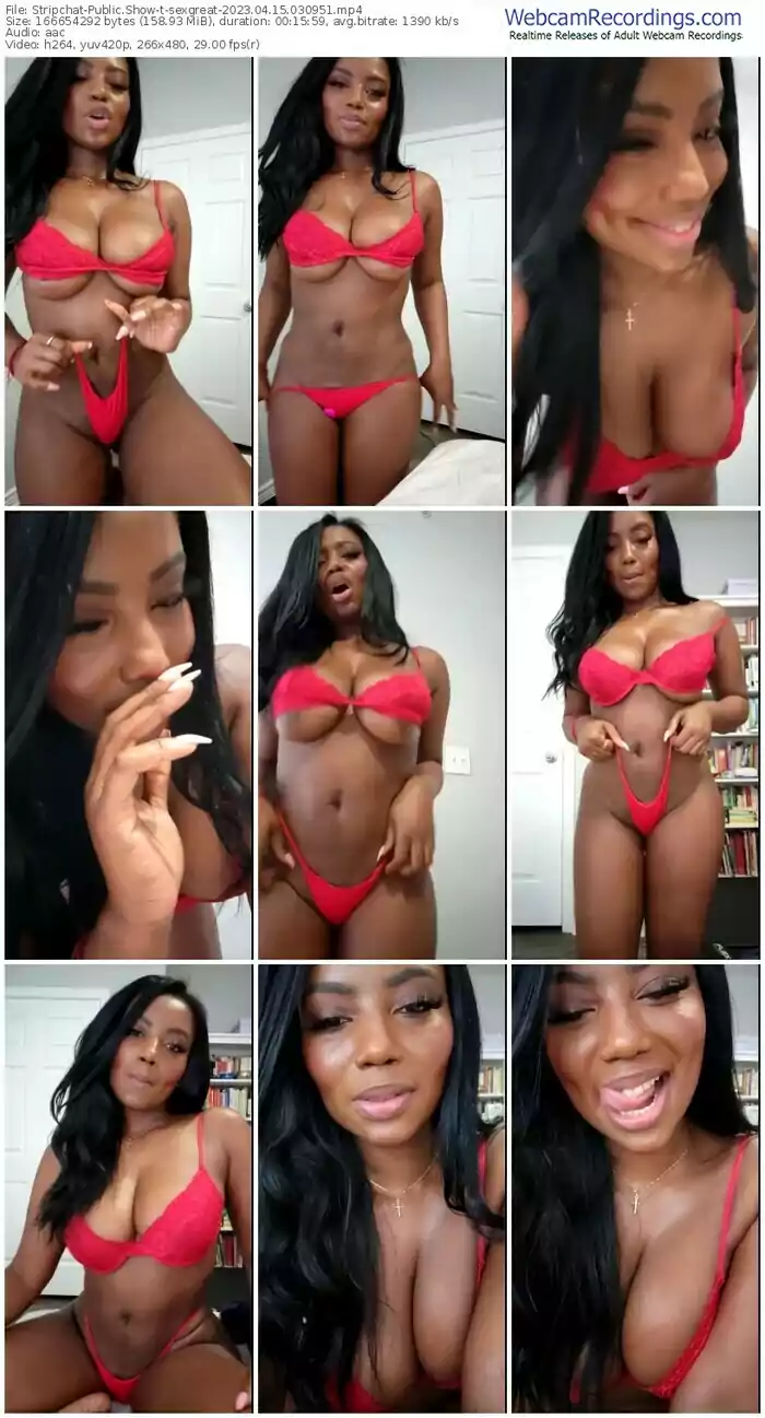 stripchat-sexgreat-04-15-2023-03-09-51