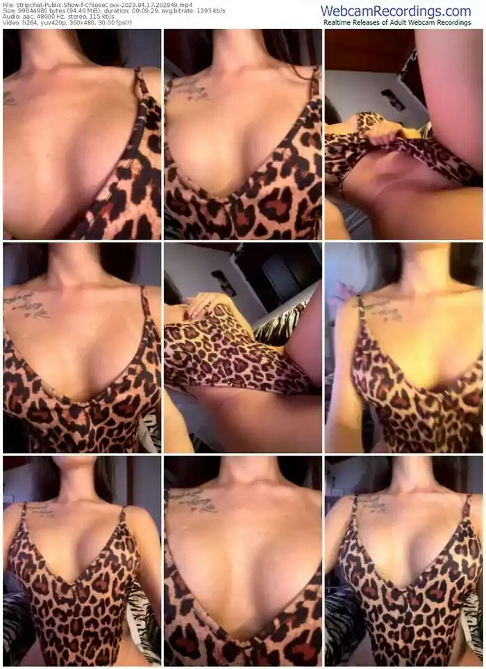 stripchat-chloeecoxx-04-17-2023-20-28-49