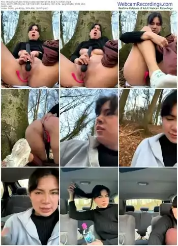 stripchat-alexiswinter-04-17-2023-17-35-31