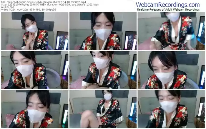 stripchat-lilyhightigercat-04-18-2023-03-38-32