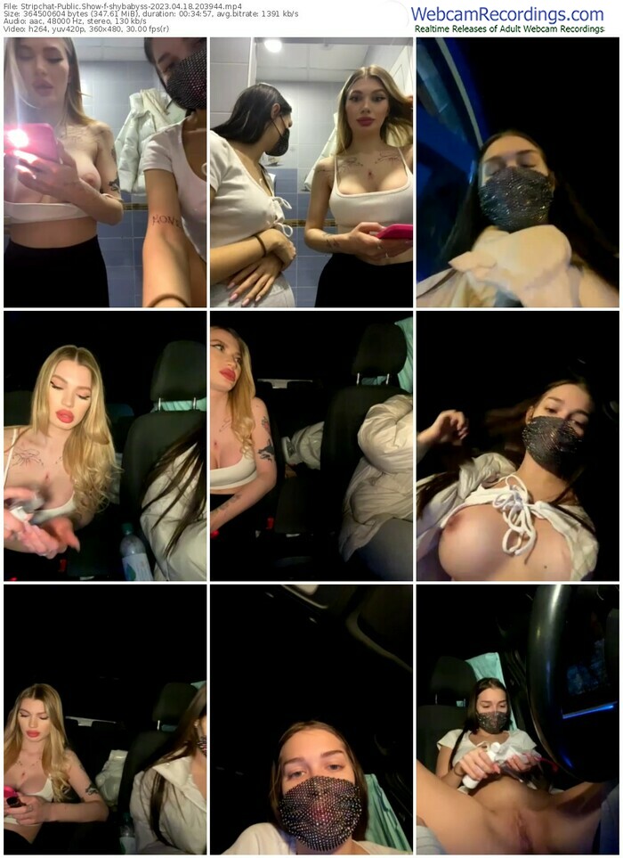 stripchat-shybabyss-04-18-2023-20-39-44