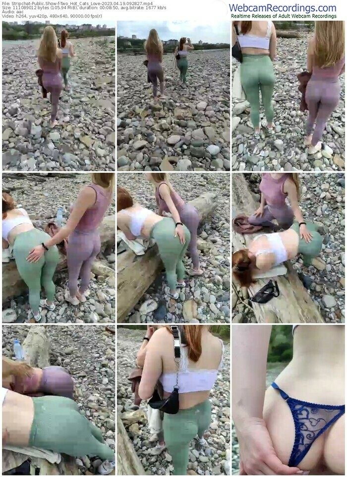 stripchat-two_hot_cats_love-04-19-2023-09-28-27