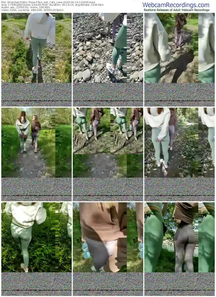 stripchat-two_hot_cats_love-04-19-2023-12-18-36