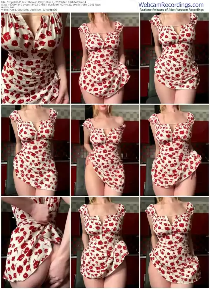 stripchat-playfulltime_-04-19-2023-01-04-33