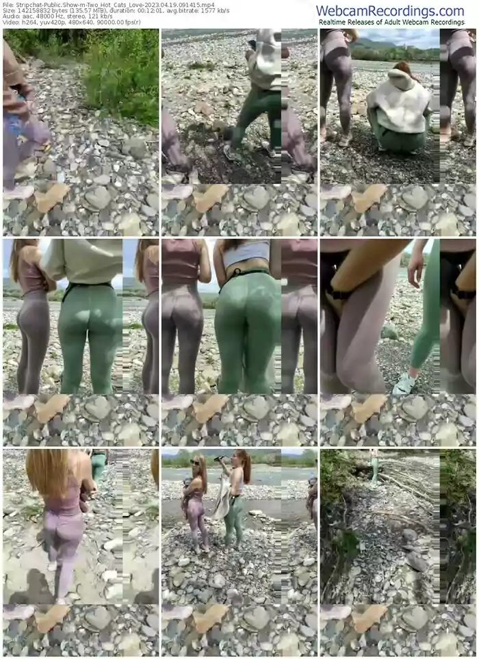 stripchat-two_hot_cats_love-04-19-2023-09-14-15