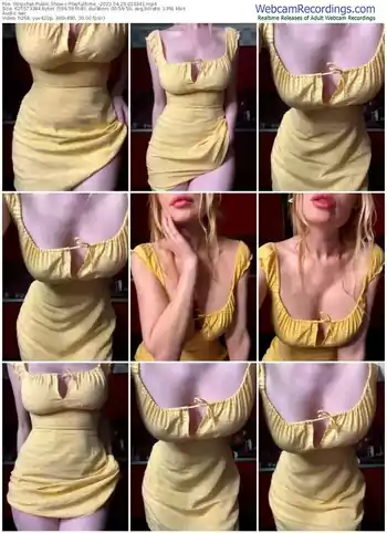 stripchat-playfulltime_-04-25-2023-01-03-41