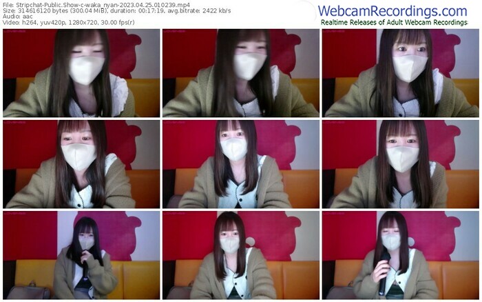 stripchat-waka_nyan-04-25-2023-01-02-39