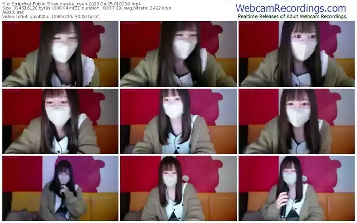 stripchat-waka_nyan-04-25-2023-01-02-39