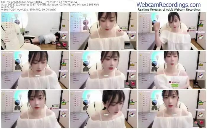 stripchat-beta___-05-17-2023-13-27-25